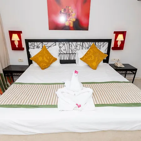 Le Petit Palais Djerba & Spa-2